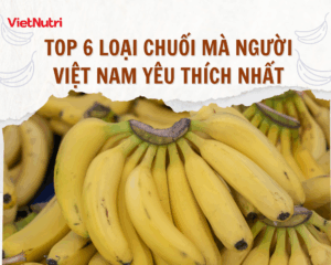 TOP 6 LOẠI CHUỐI MÀ NGƯỜI VIỆT NAM YÊU THÍCH NHẤT
