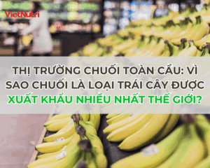 VÌ SAO CHUỐI LÀ LOẠI TRÁI CÂY ĐƯỢC XUẤT KHẨU NHIỀU NHẤT THẾ GIỚI?