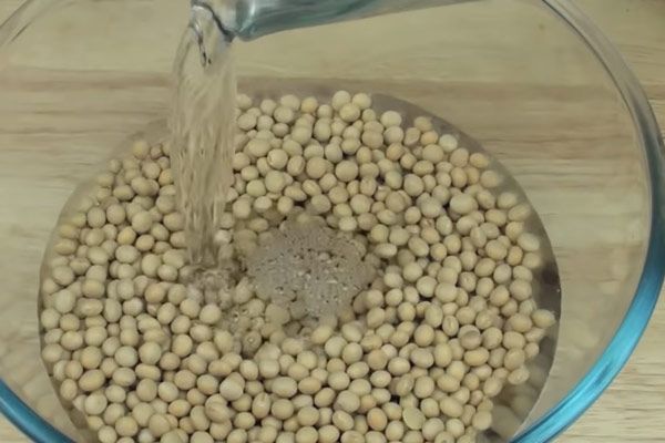 chon-nhung-hat-con-nguyen-ven_8d2848751351482db967eb689be6dc60_grande