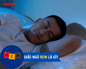 GIẤC NGỦ REM: CHÌA KHÓA CHO TRÍ NHỚ VÀ SỨC KHỎE TÂM THẦN