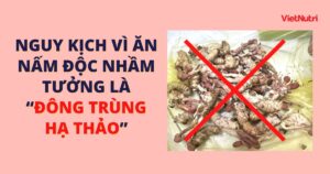 NGUY KỊCH VÌ ĂN NHẦM NẤM ĐỘC VÌ TƯỞNG LÀ