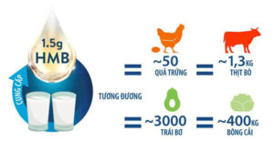 VAI TRÒ CỦA HMB TRONG CHẾ ĐỘ DINH DƯỠNG BỔ SUNG