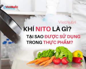 KHÍ NITƠ LÀ GÌ VÀ TẠI SAO ĐƯỢC SỬ DỤNG TRONG THỰC PHẨM?