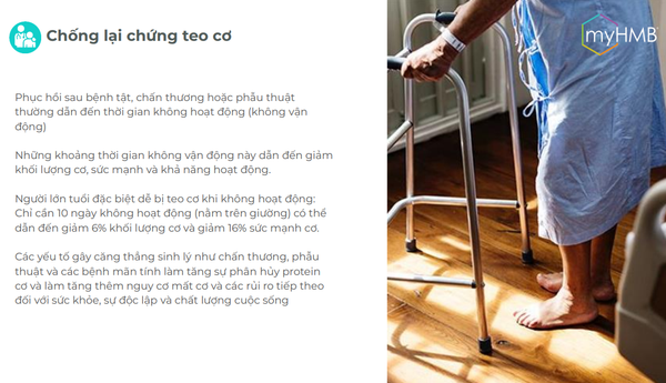 picture12_0b314a781f9045498f756d6cf8e43ea6_grande