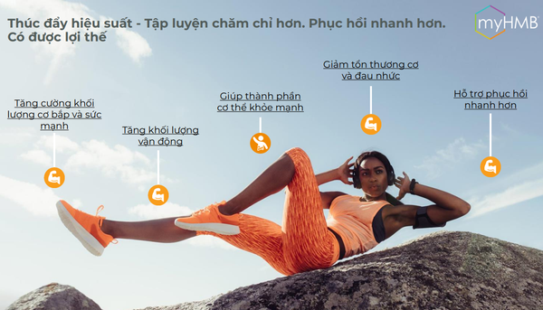 picture2_120dc2195333423e909c1f23e2c11f79_grande