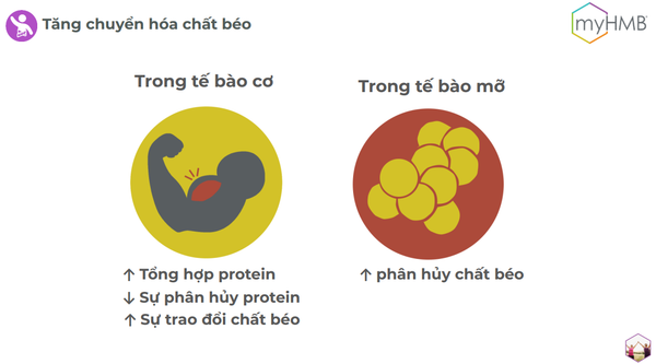 picture8_11b2e4aa767d46aeb31fad3a12bc8e38_grande