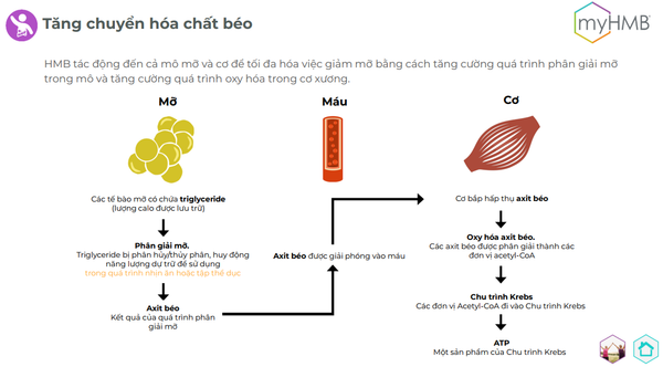 picture9_ffaae9382f3b44b182e51f4b3e1a653e_grande