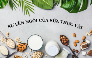 NĂM 2023- SỰ LÊN NGÔI KHÔNG THỂ NGĂN CẢN CỦA SỮA THỰC VẬT